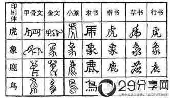 汉字的起源与演变解析(汉字的演变与发展过程详解？)