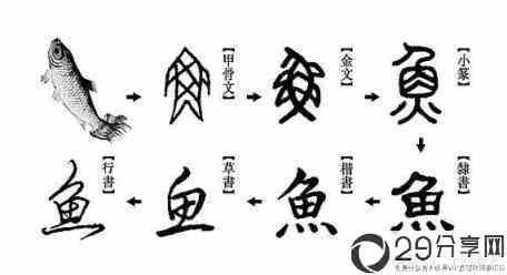 汉字的起源与演变解析(汉字的演变与发展过程详解？)