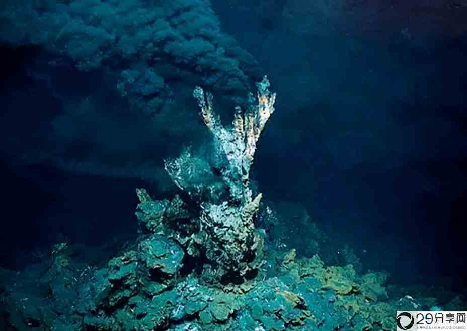 海底最深处样子的风景照片(真正的海底是什么样的)