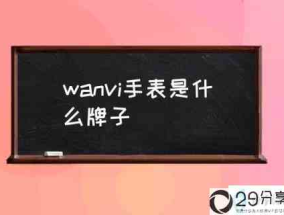 wanvi手表是什么牌子(万维手表怎么样？)