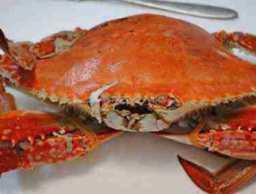 吃螃蟹的禁忌是什么