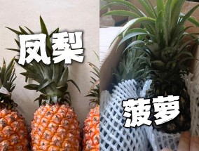 菠萝和凤梨有什么区别（菠萝和凤梨是不是同一种水果）