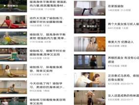 国外瑜伽健身类视频搬运赚钱，可批量操作！