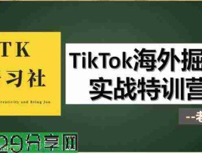 TK研习社优质课程推荐 TikTok海外掘金实操特训营