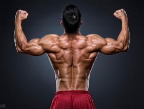 背部肌肉训练经典动作（8个经典背部训练动作）