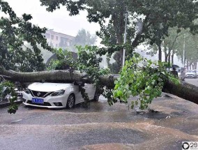 暴雨来袭，被淹的车辆是否能够获得理赔