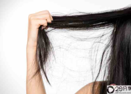头发干枯分叉的原因是什么 如何修复分叉的头发