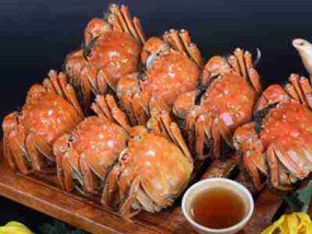 阳澄湖大闸蟹几月份最好吃