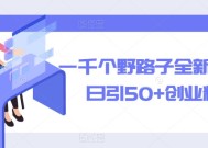 一千个野路子全新玩法，日引50+创业粉【揭秘】