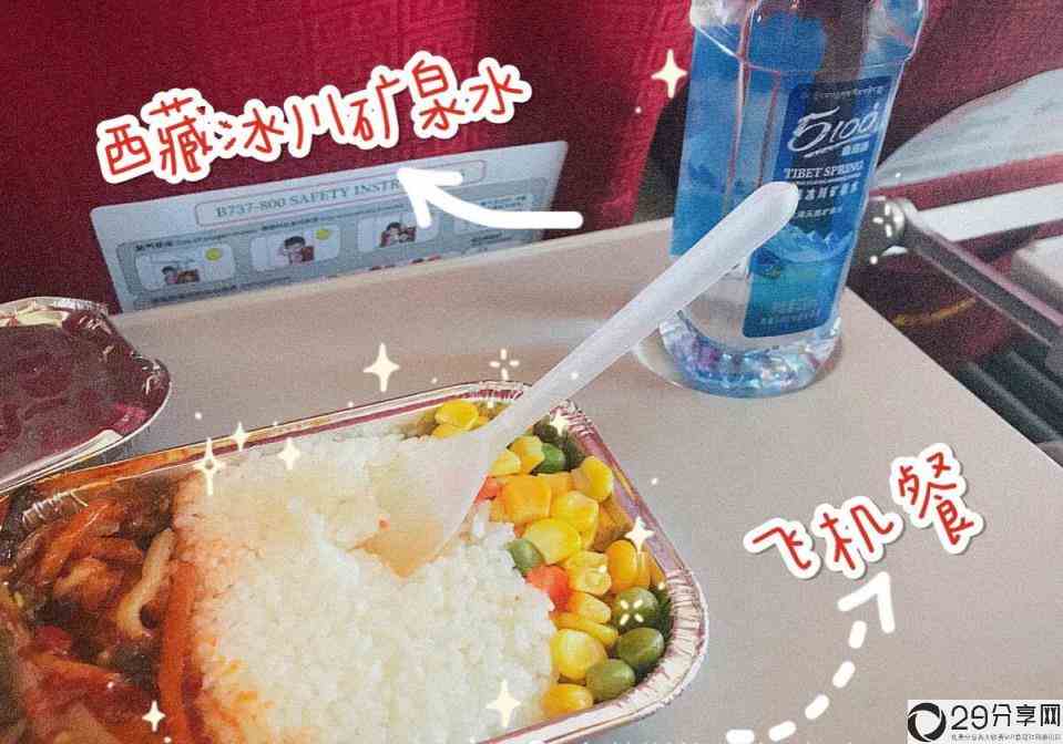 飞机餐是发还是自己点(飞机上的食物是免费的吗)