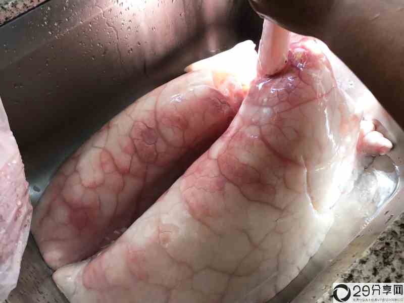 猪肺的正确清洗方式（猪肺怎样清洗才算干净） 4